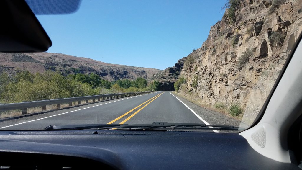 The 12 year Therapy&nbsp;Odyssey