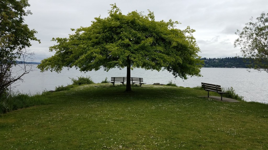 Recovery during the&nbsp;Pandemic