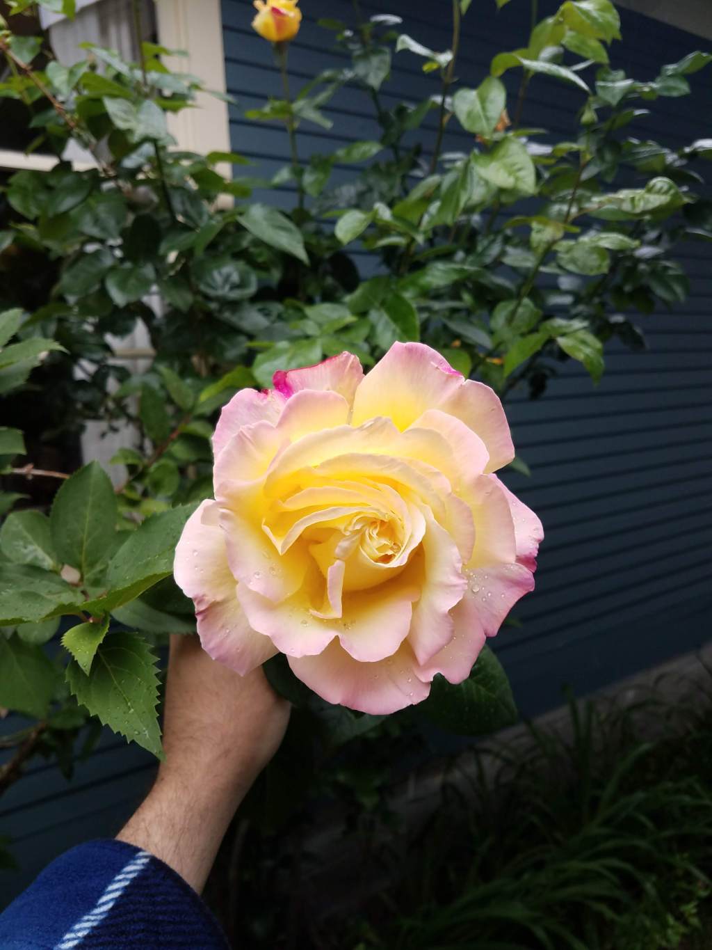 Seattle in June&nbsp;2020