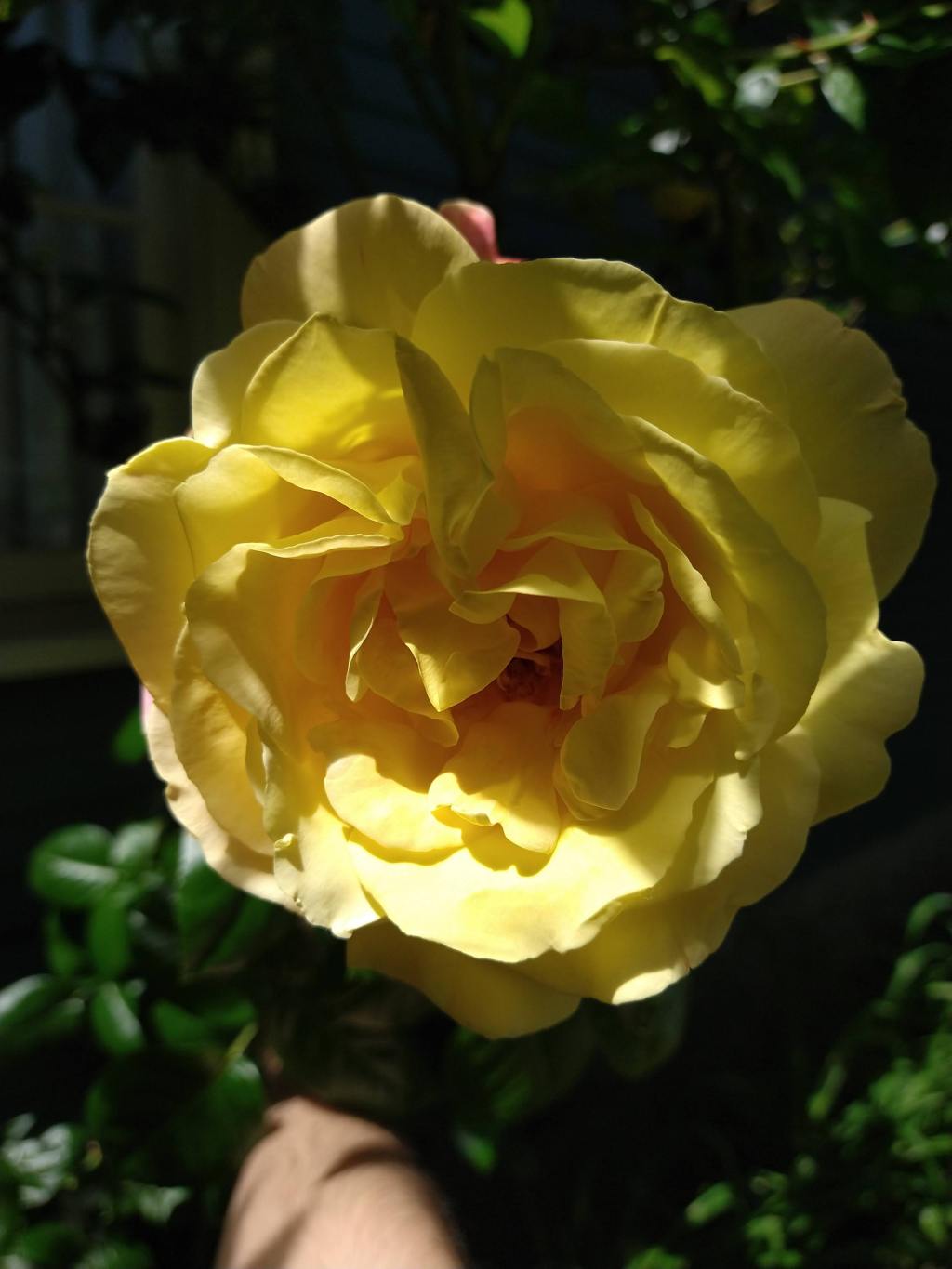 Glassblowing (NSFW, but who’s&nbsp;working?)