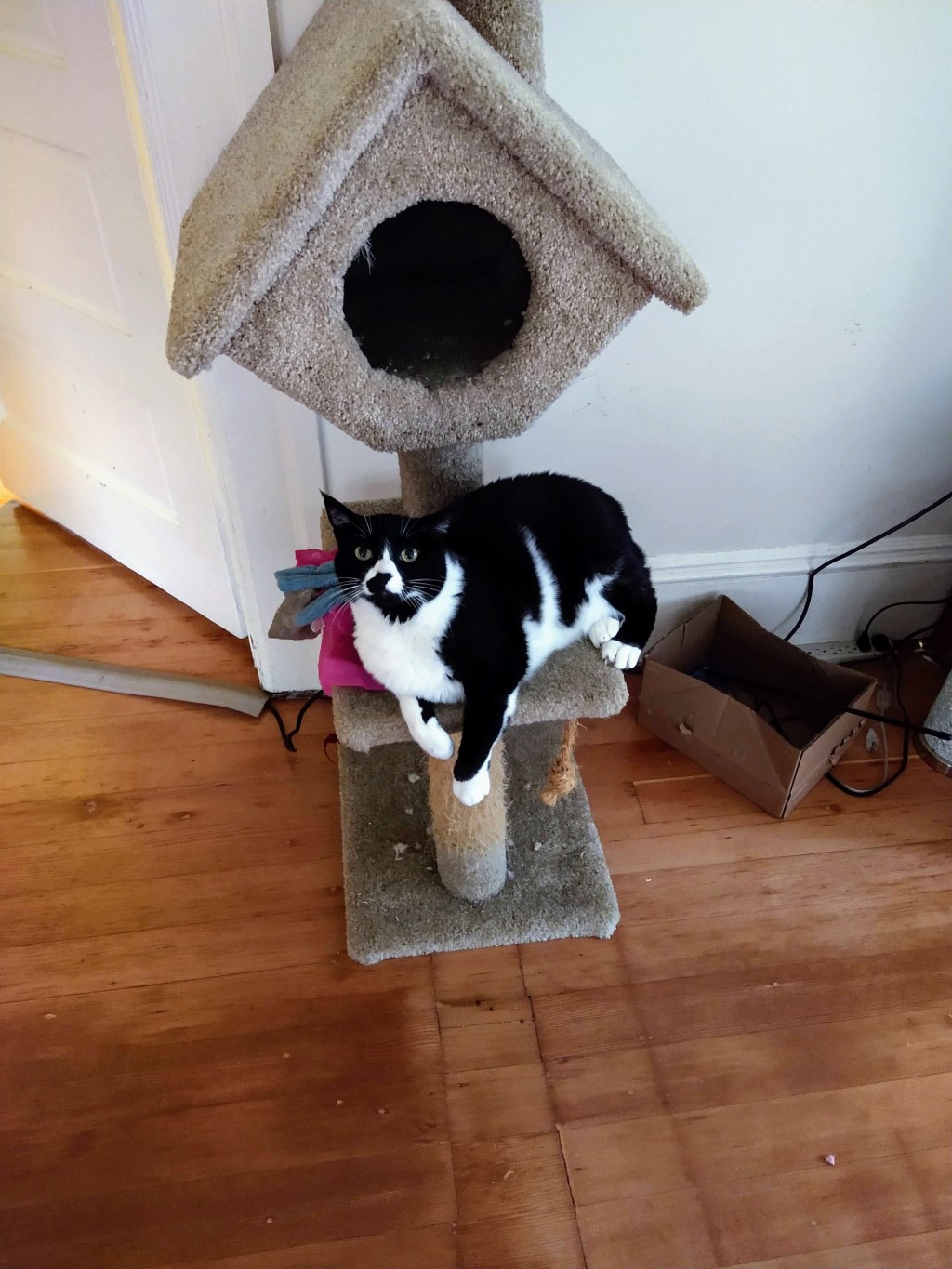 Lucy and I, high after&nbsp;midnight