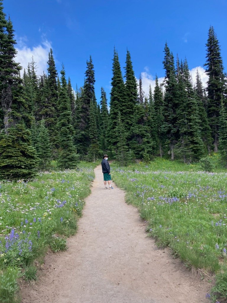 Six months blogging!