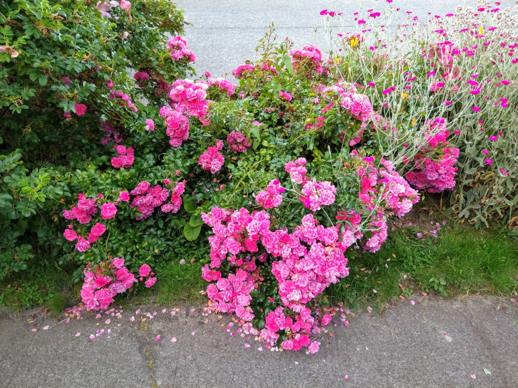 Goal: Go on 1 date before&nbsp;2021!