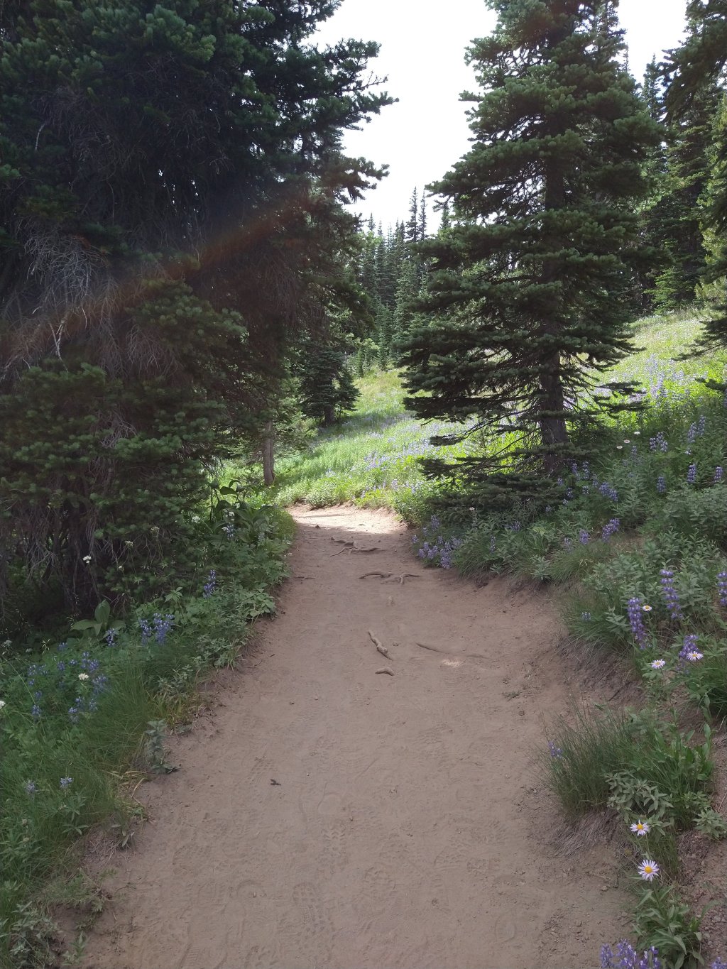 December Goal: Post 31 days in a&nbsp;row!