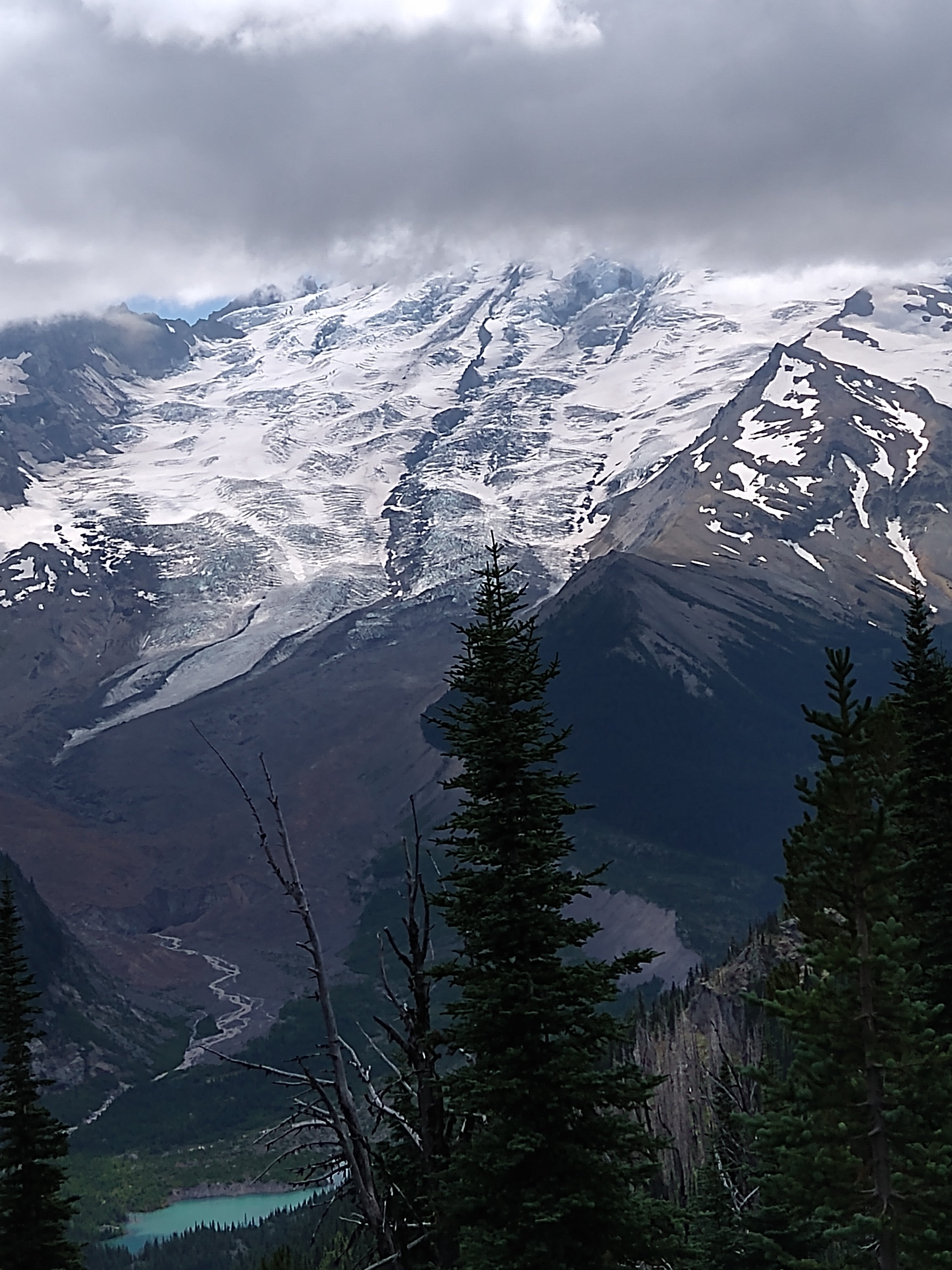 Picture of Mt Rainier from a couple of years ago at the National Park.
