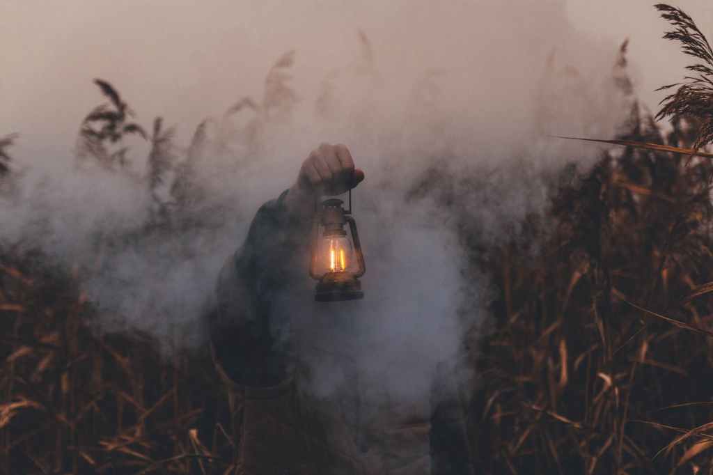 A person holding a lantern in a smokey corn field.