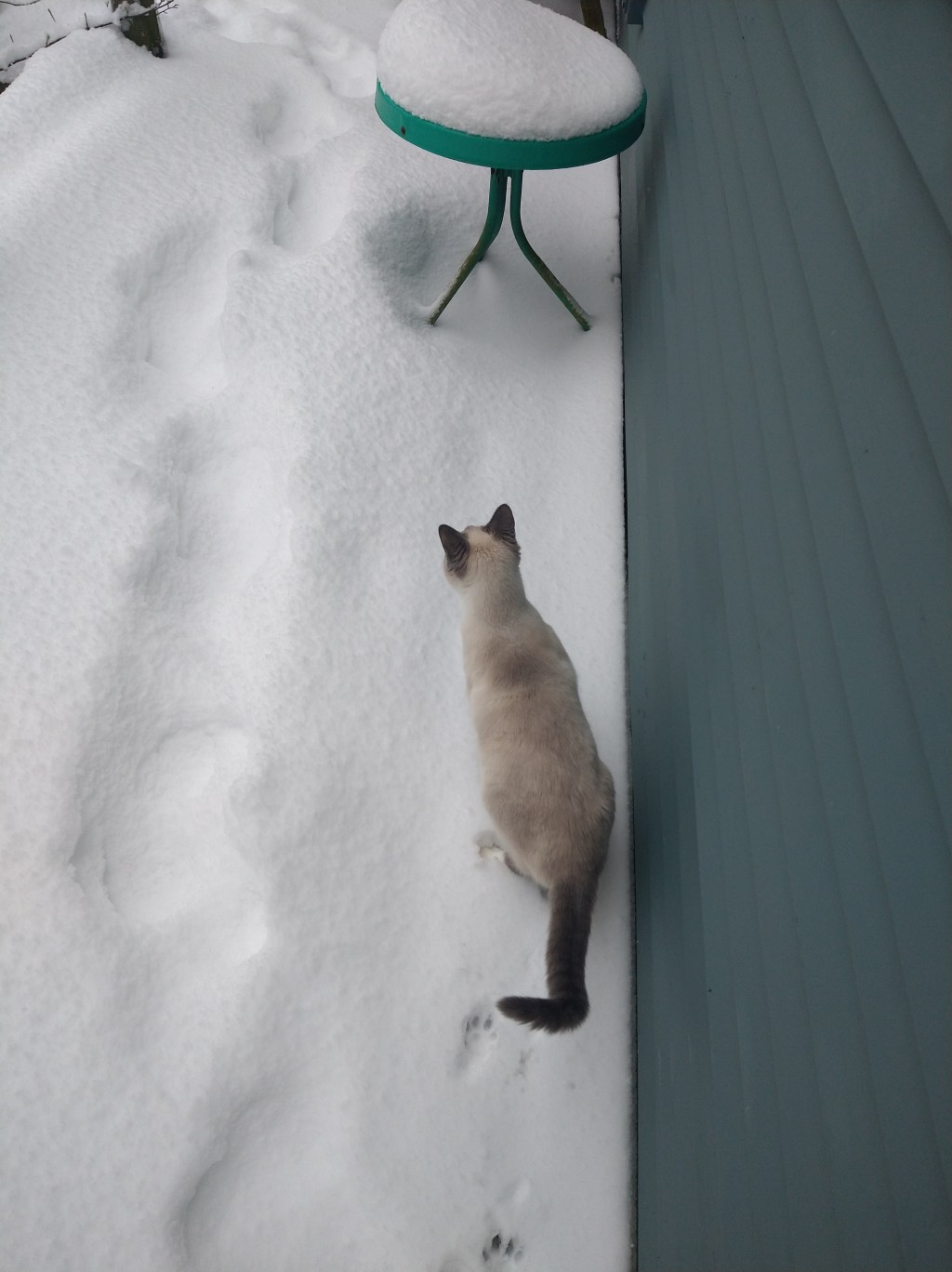 Listen to your emotions & Forgive&nbsp;yourself.