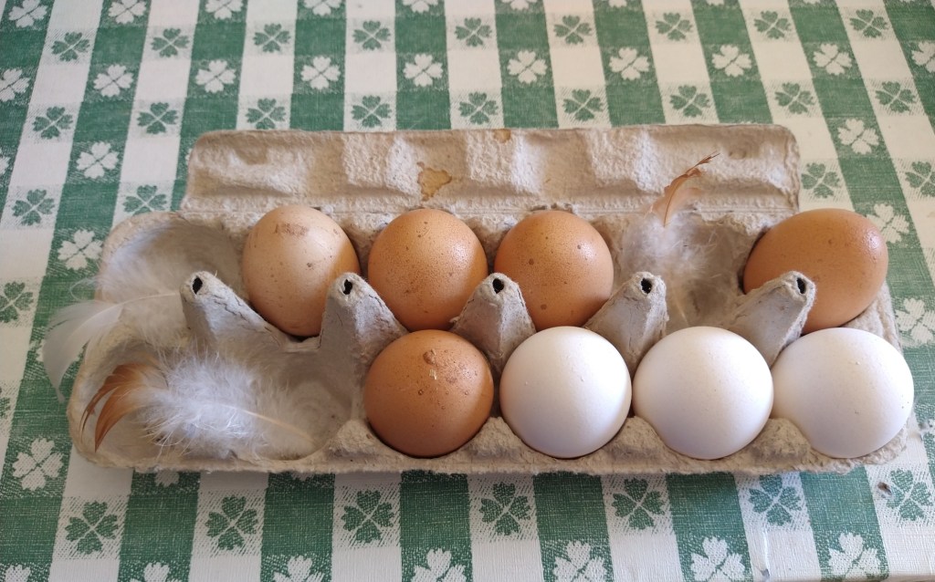 A half dozen days since the chickens&nbsp;died