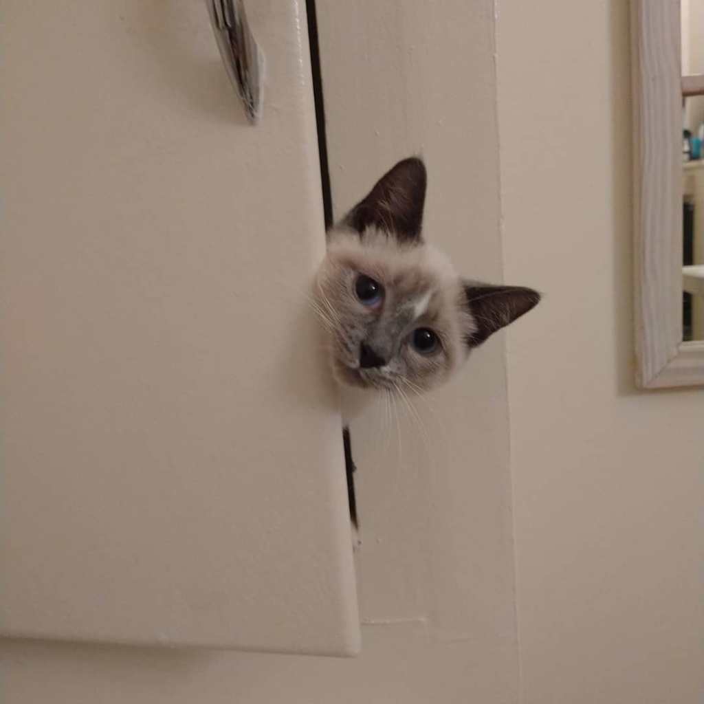 Coco-nut’s Birthday!