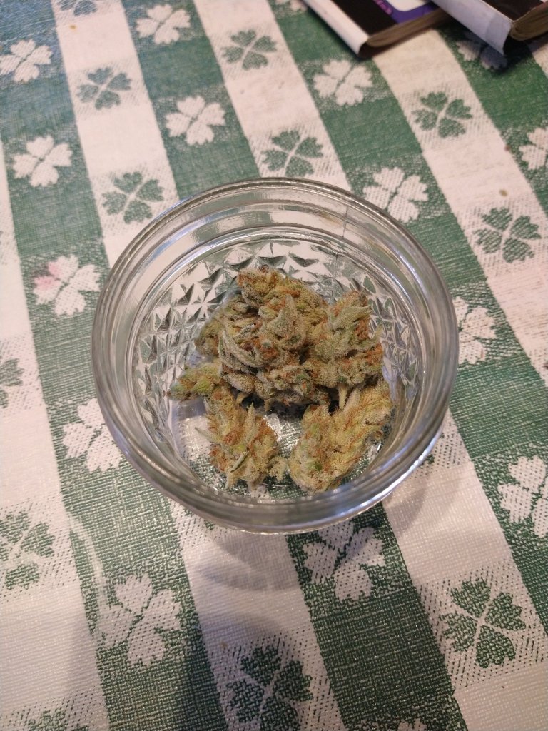 Picture of weed in a mason jar. Strain: Peanut Butter Crunch. 