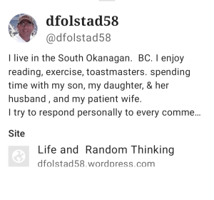 Screenshot of the description of the blogger who did the 1000th like.