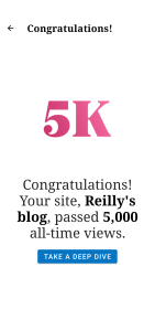 Screenshot of wordpress blog statistics. 5000 all times views