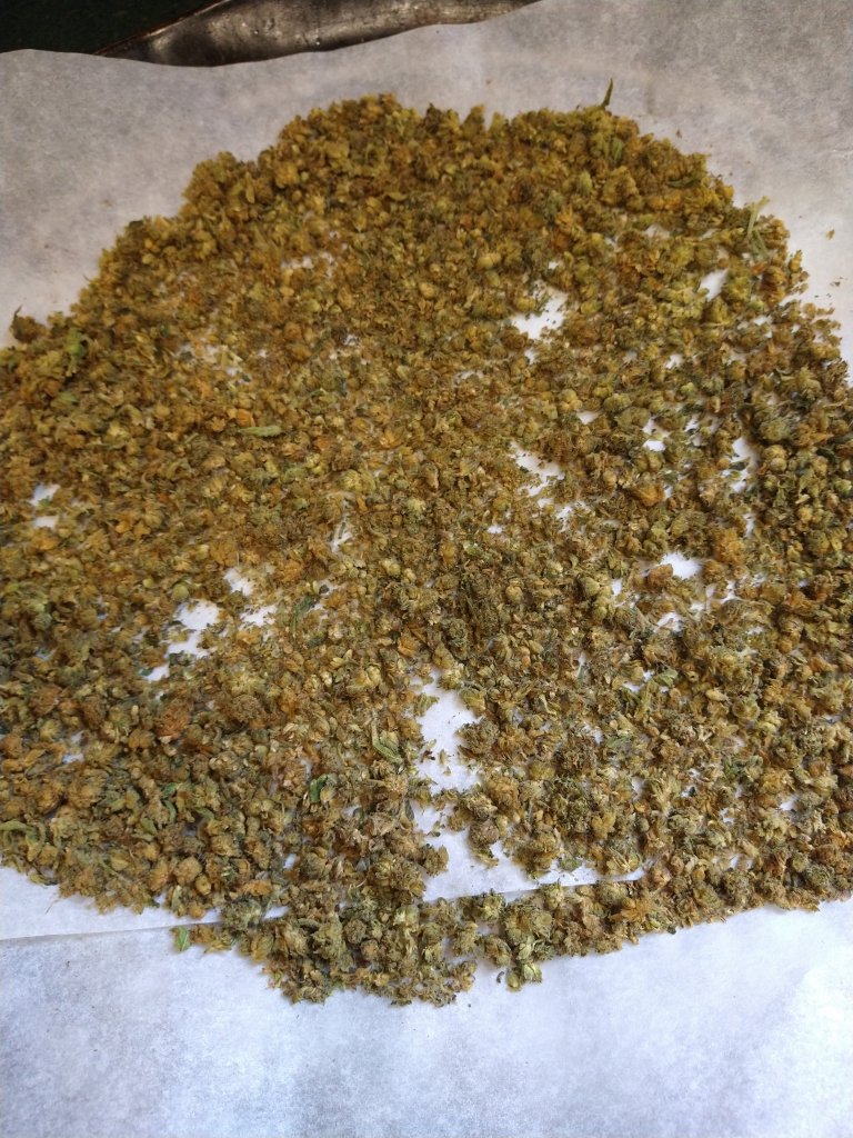 Cannabis ground into small pieces. This is after baking for 40 minutes at 240 degrees Fahrenheit.
