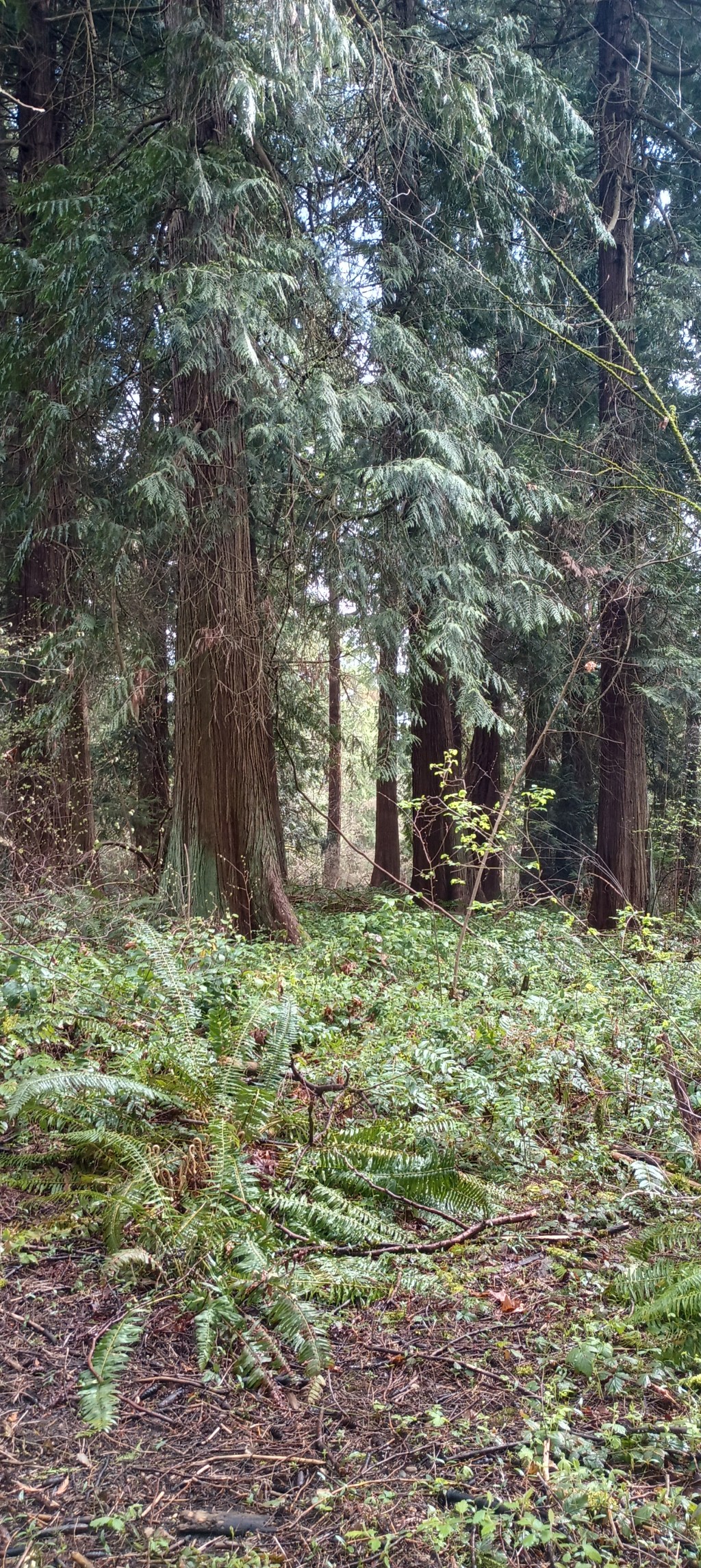 New job, New&nbsp;path.