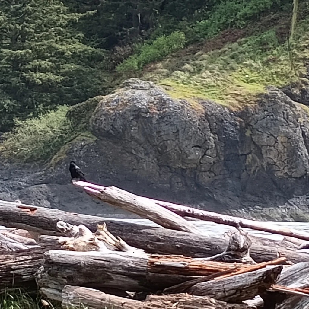 Mary Jane’s Last Dance &&nbsp;Disappointment