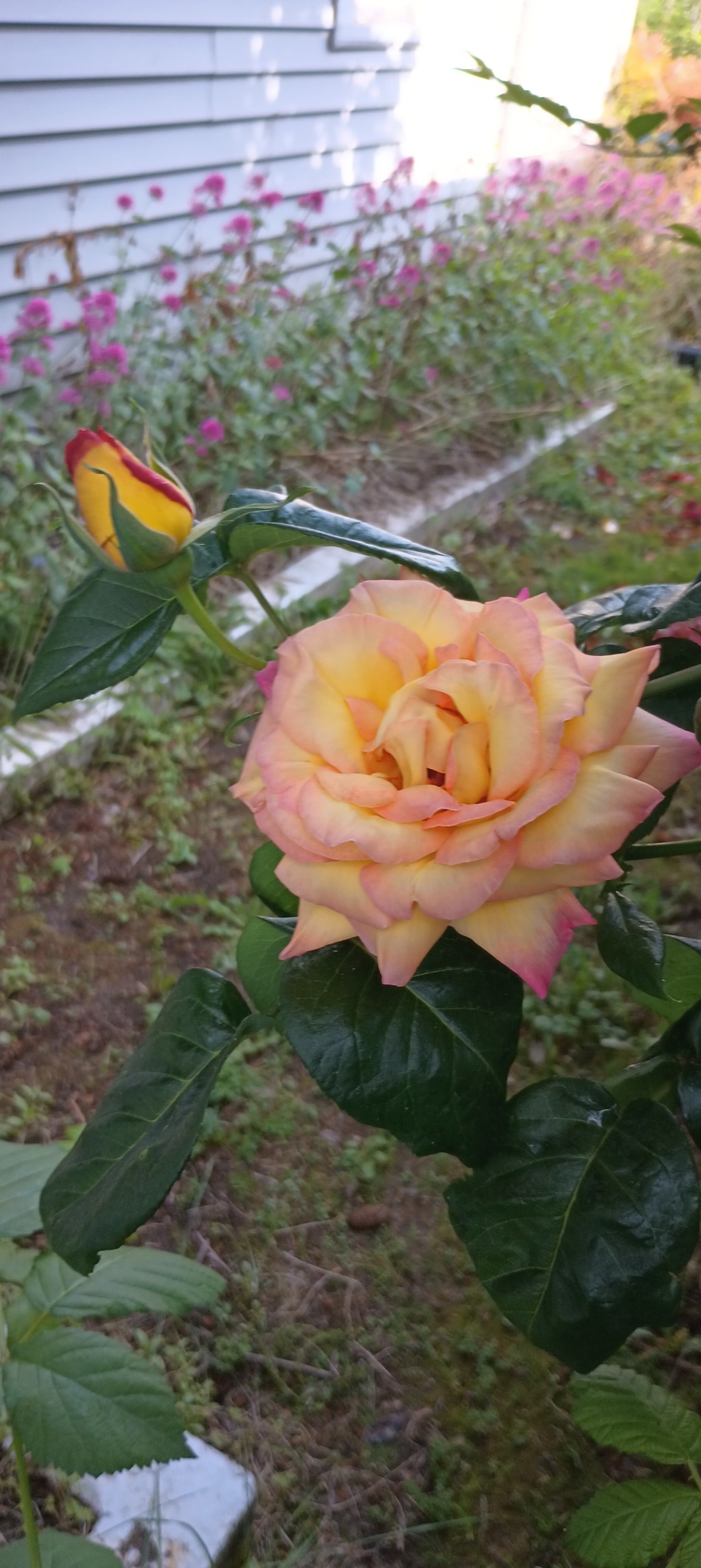 Winning ain’t everything but you gotta&nbsp;try.