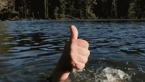 Gif of a white person's hand descending into water as a person drowns in a comedic manner.