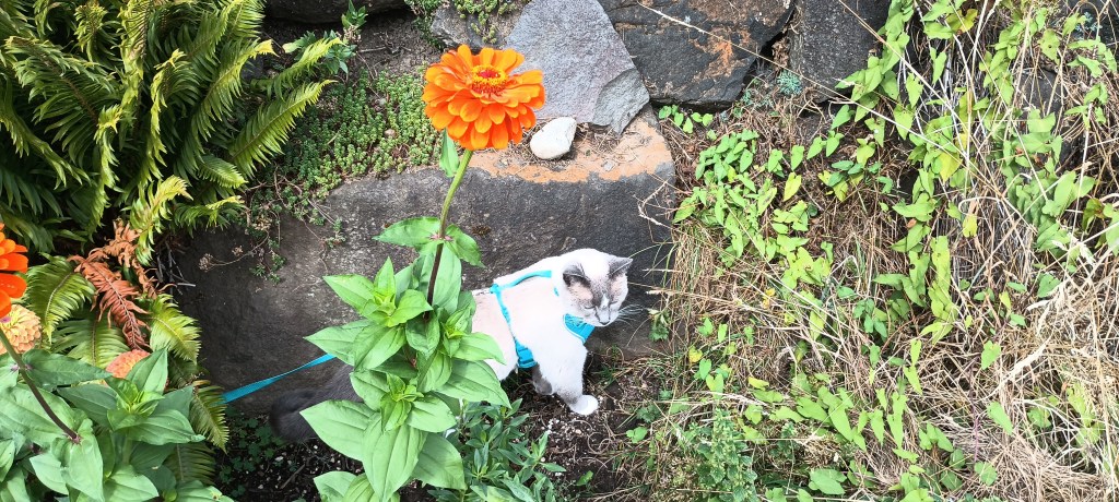 Finally, school is in&nbsp;sight!