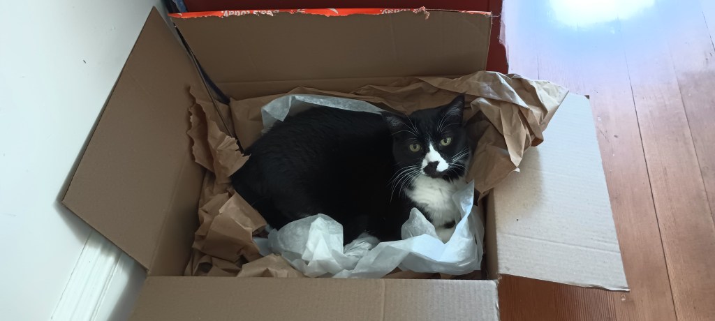 An introduction speech from Public&nbsp;Speaking.