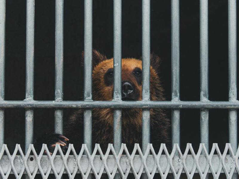 I feel trapped in my&nbsp;life