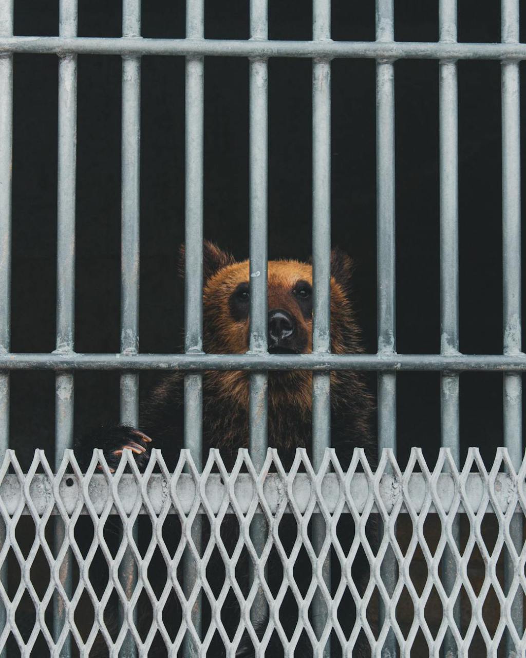 I feel trapped in my&nbsp;life